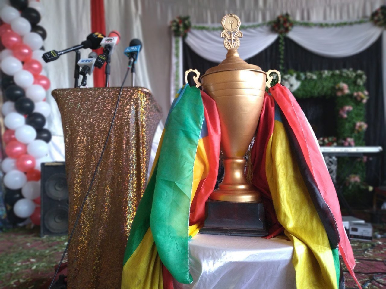በኦሮሚያ ክልል ምስራቅ ሀረርጌ ዞን ለታላቁ የኢትዮጵያ ኅዳሴ ግድብ 42 ሚሊየን ብር ገቢ ተሰበሰበ።